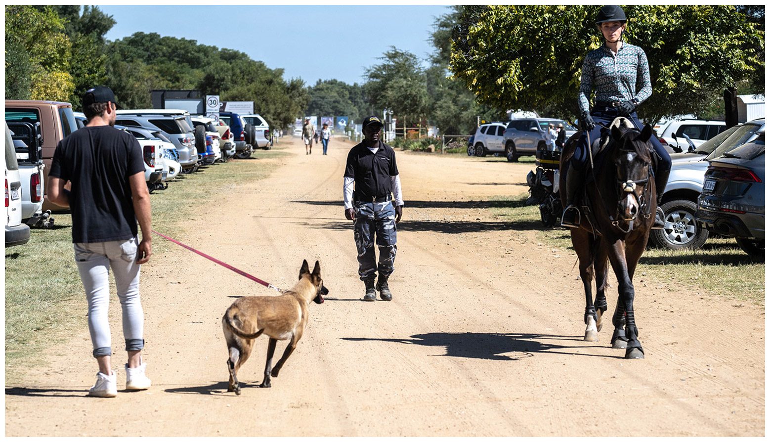 Guard with dog patrolling an event